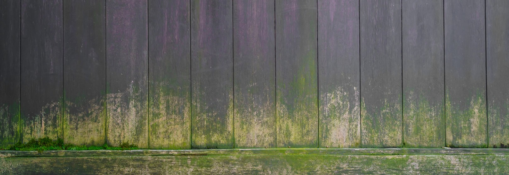 Fence Washing Ipswich Image
