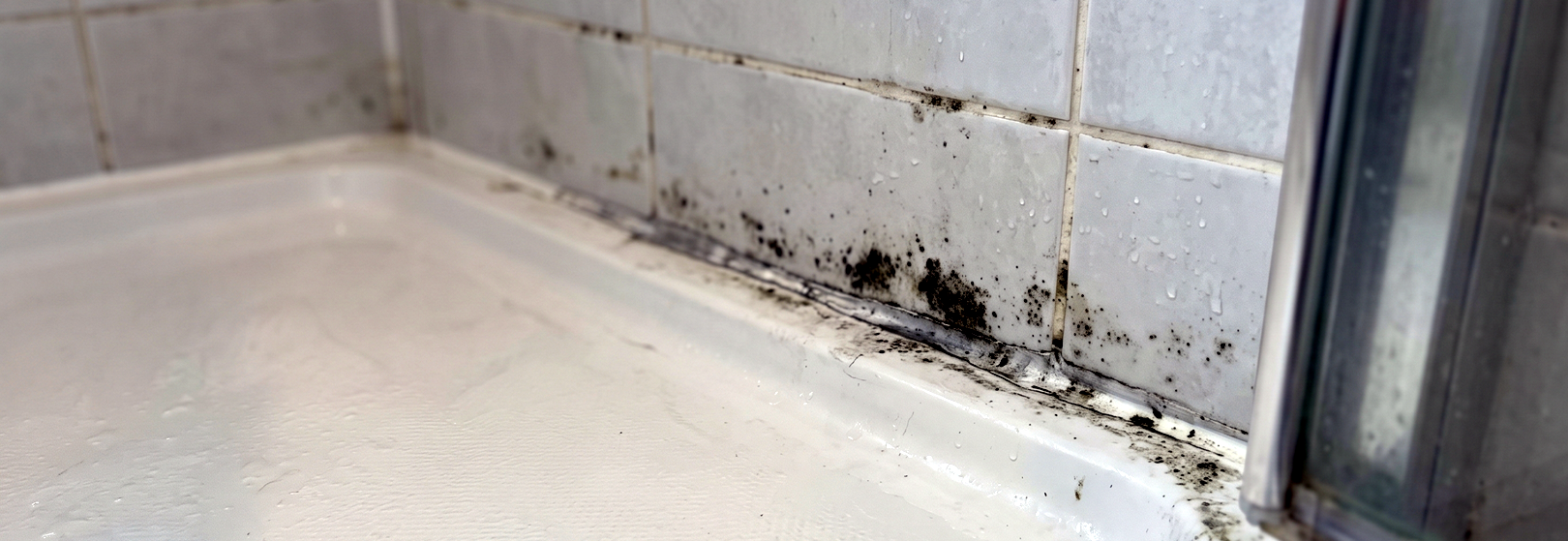 Bathroom Silicone Replacement Ipswich Suffolk Image